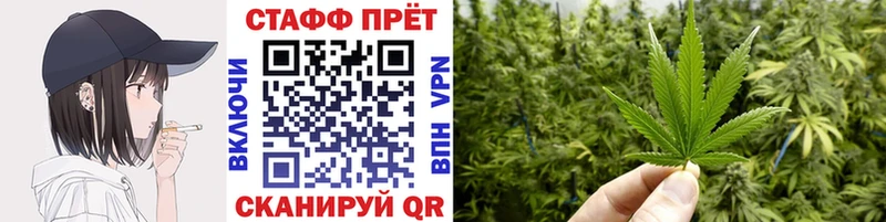  COCAIN Короча